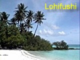 Lohifushi 2000