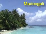 Madoogali-Film 2011