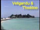 Veligandu & Thoddoo 1993