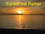 Sunset mit Reiher